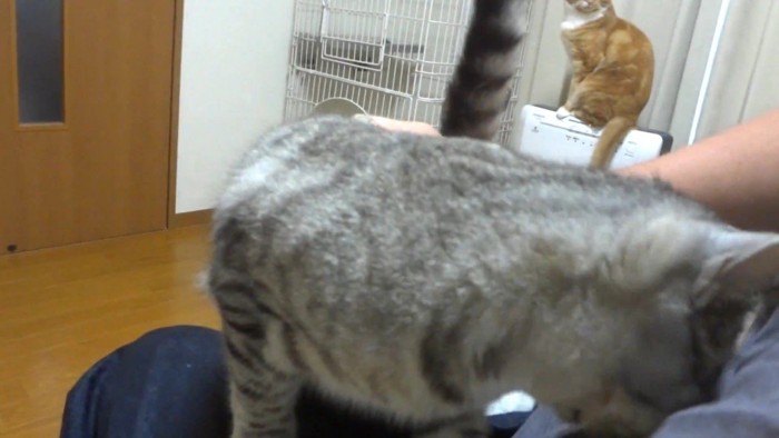 頭をつけて(横から)