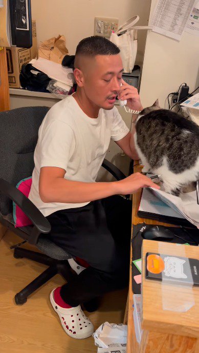 猫が乗っているノートを持ち上げようとする代表