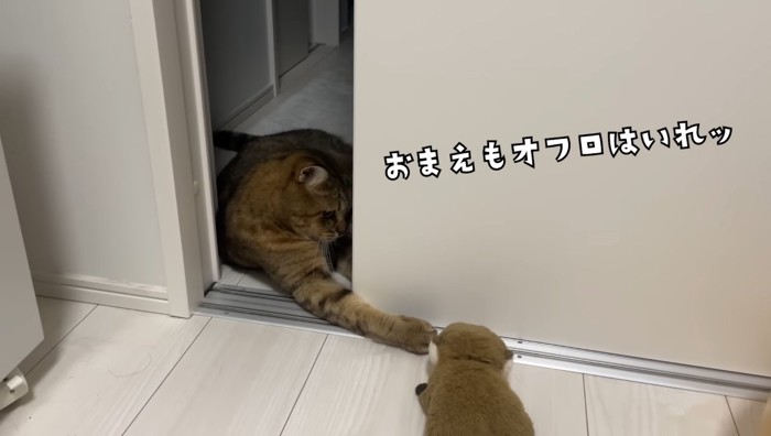 おまえもオフロはいれッ