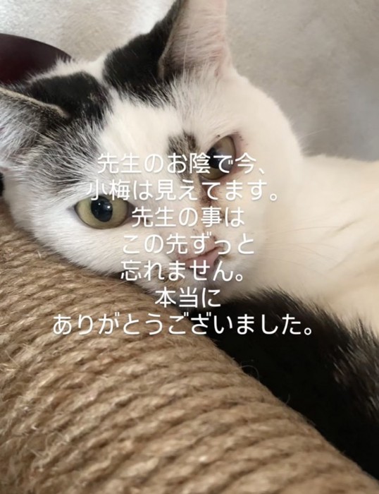 綺麗な目に回復した小梅ちゃん