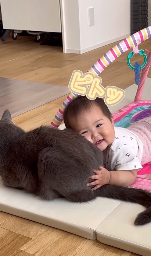 猫の腰に顔をくっつけている赤ちゃん「ピトッ」