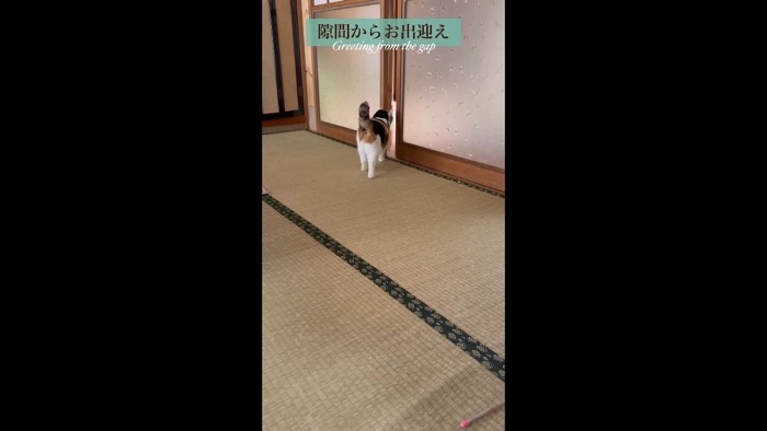 隙間からお出迎え