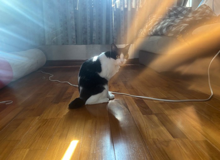 注目マークに見える写真