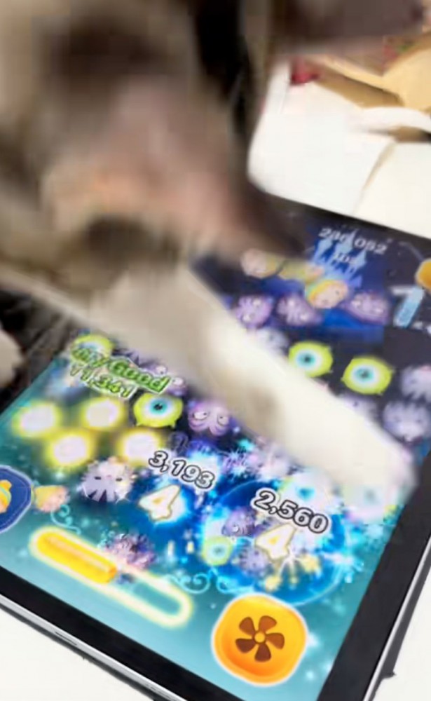 前足でツムを消去