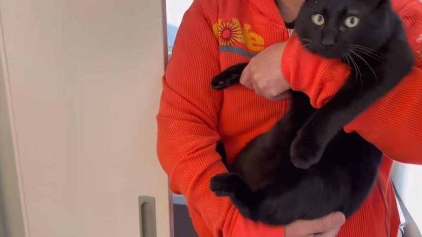 抱っこされる黒猫