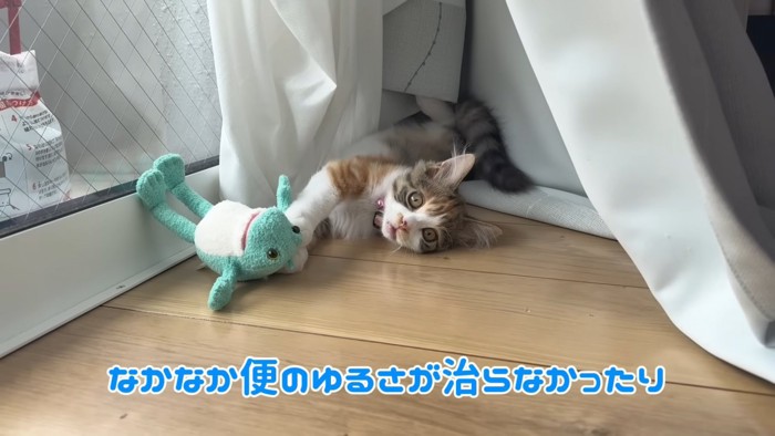 テロップ「なかなか便の～」