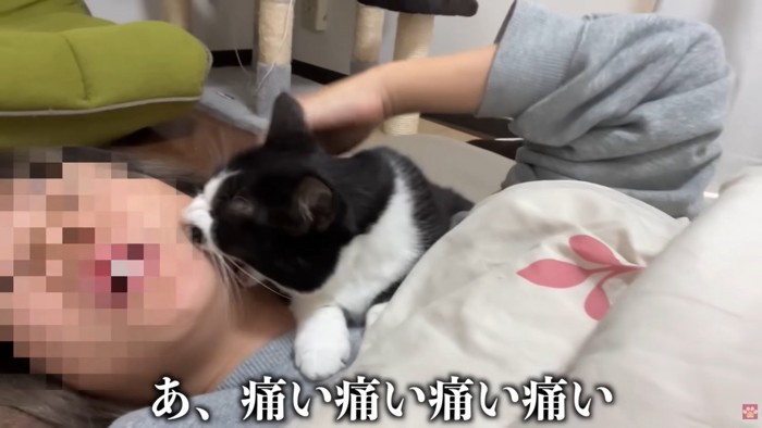 テロップ「あ、痛い痛い～」