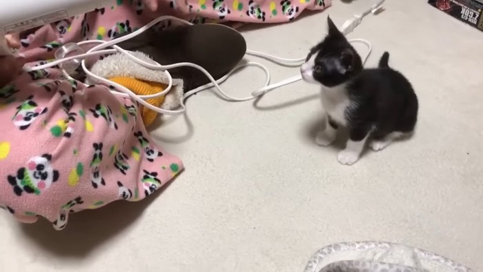 ドライヤーを見つめて