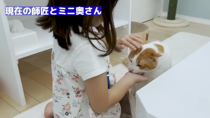 子供になでさせた先住猫の様子