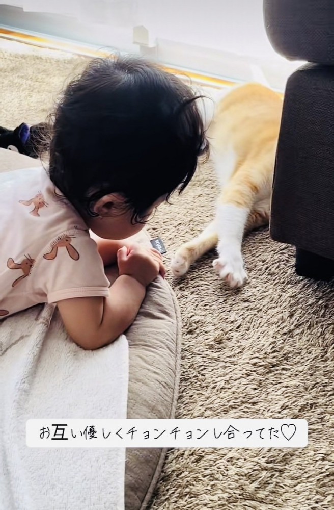 伸びる茶白猫と茶白猫を見る赤ちゃん