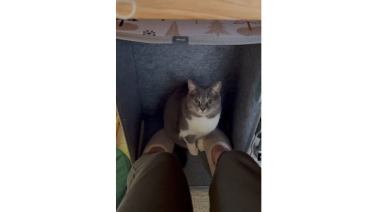 パネルヒーターにいる猫