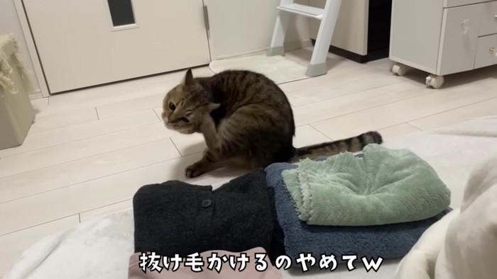 頭を掻くみにらくん