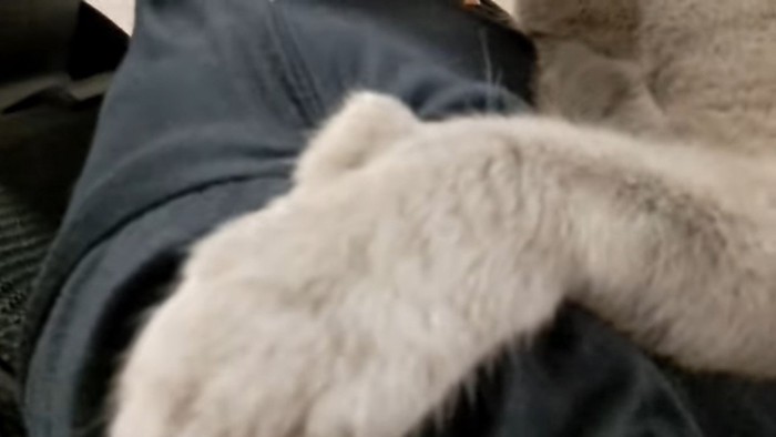 おててのアップ