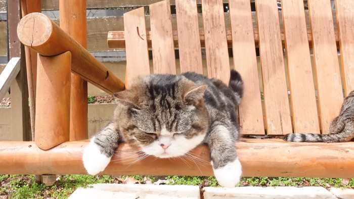 リラックスしているまるくん