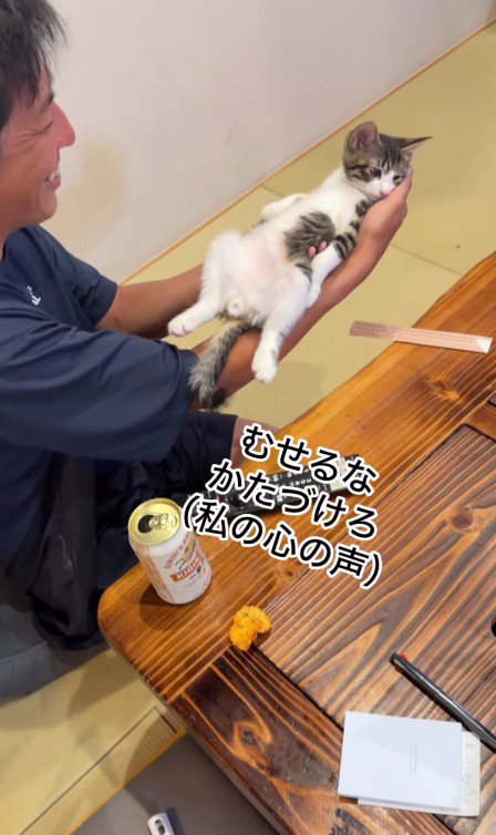 てのひらの上の猫