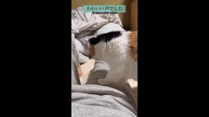 かわいい声でした
