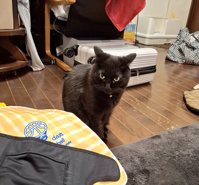 カメラ目線のジェイクくん