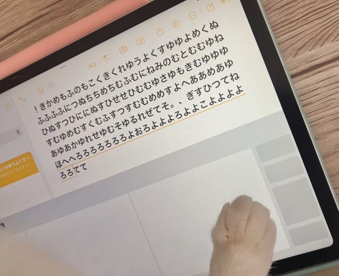 猫が打ち込んだ文字