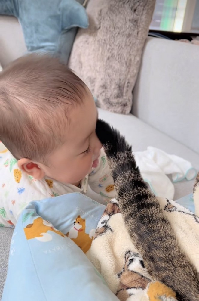 赤ちゃんを尻尾であやすキジトラ猫