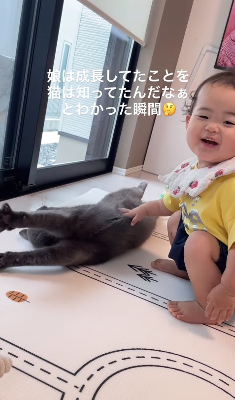 子供にお腹を触られて伸びをしている猫(子供の目線カメラ)