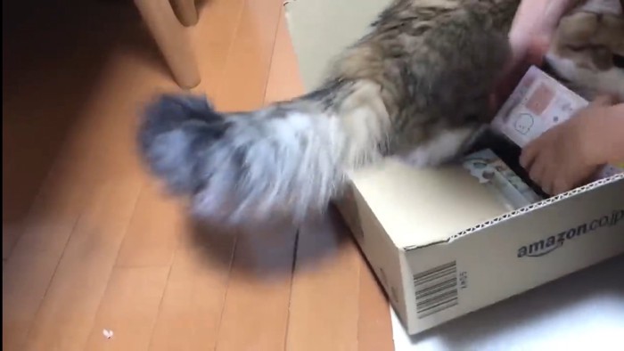 中身を取り出し中