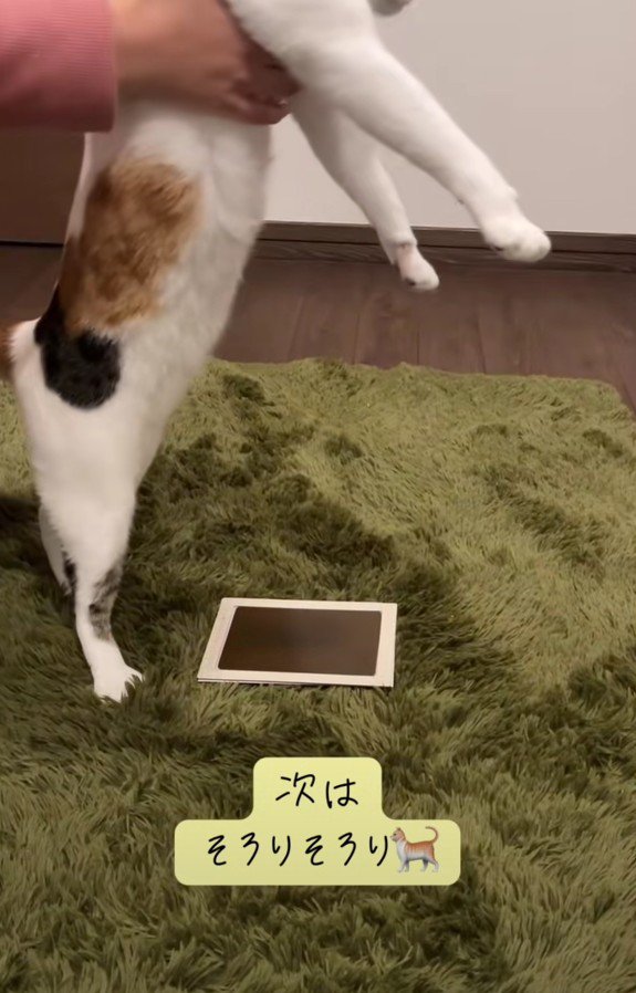 足形をとる小町ちゃん