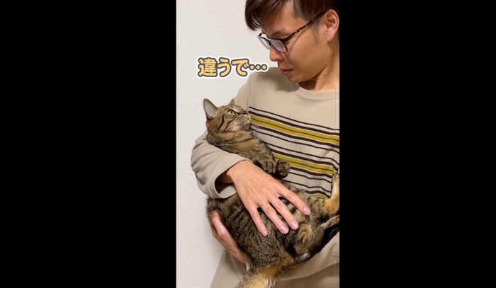 見つめ合う猫と男性（違うで…）