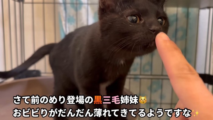 テロップ「さて前のめり～」