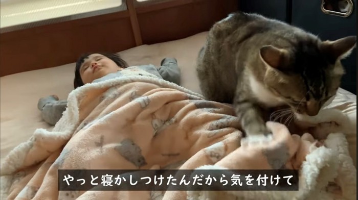 どかされてもふみふみをやめない猫