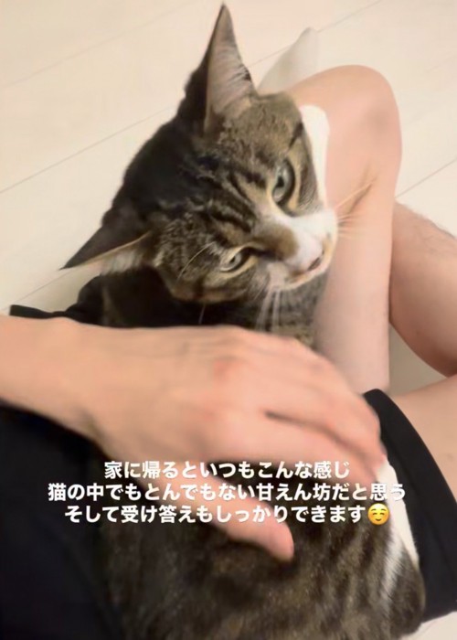 振り返りうっとりとした顔をする猫