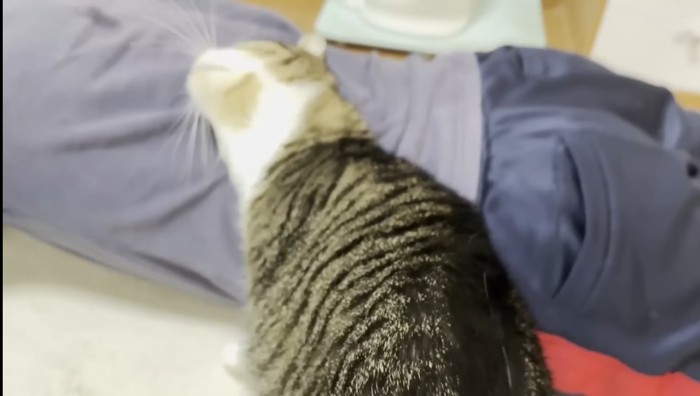 背中にスリスリ