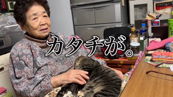 おばあちゃんと猫