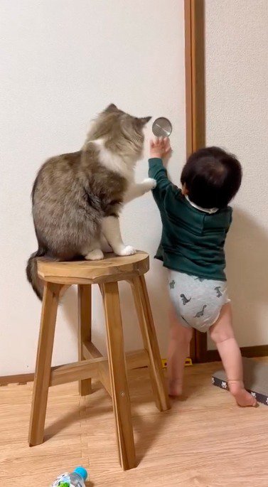 取っ手に手をかける赤ちゃんと、赤ちゃんの腕に前足を乗せる猫