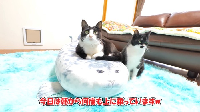 今日は朝から