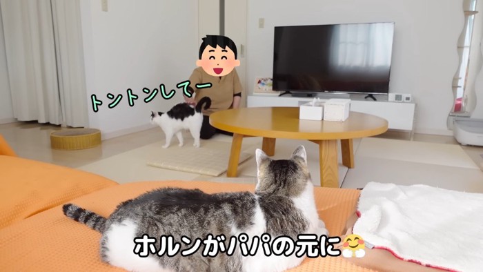 トントンしてー