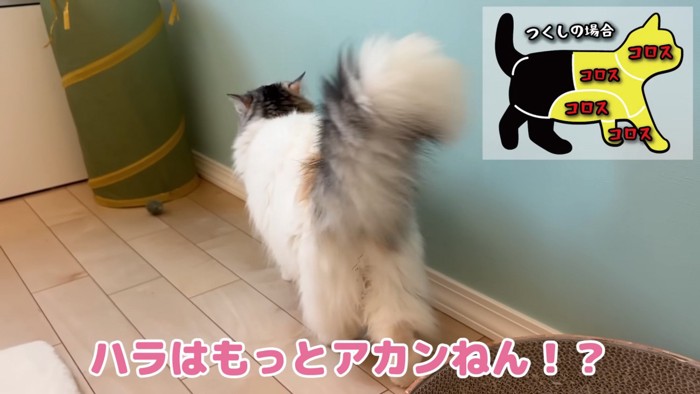 逃げるつくしちゃん