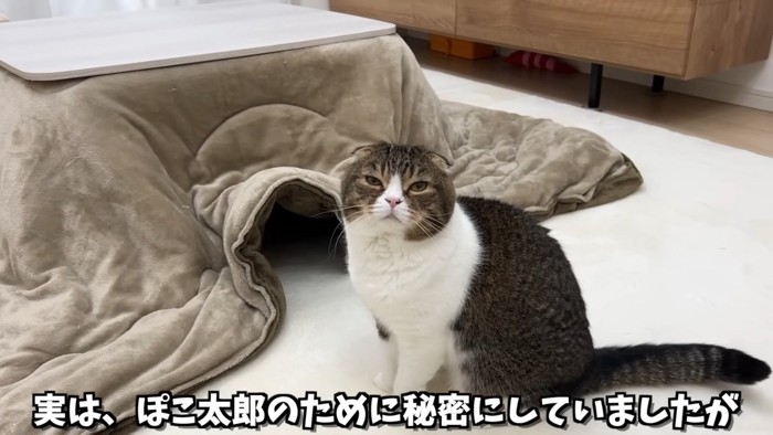コタツの中には入れないぽこ太郎くん