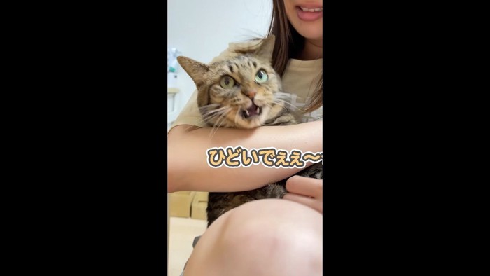 ひどいでぇぇ〜