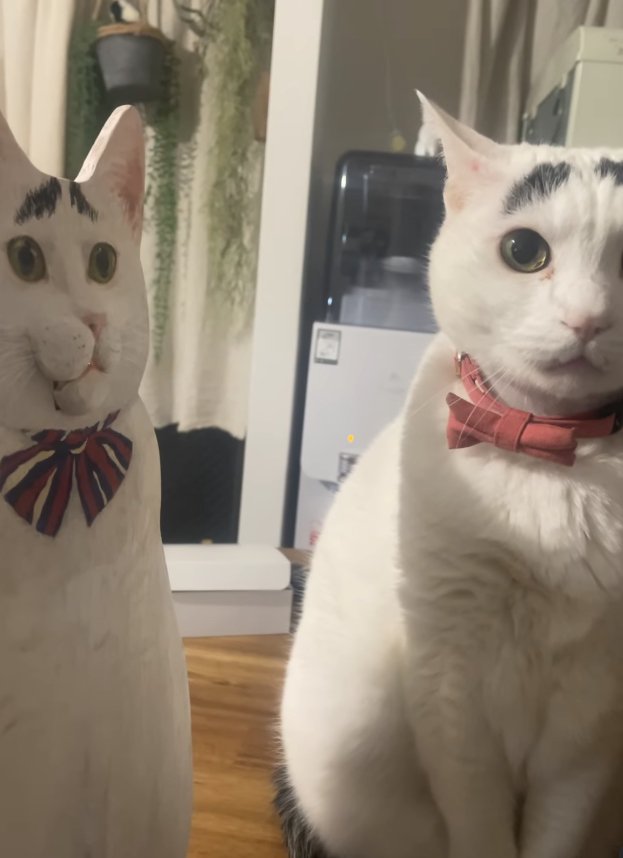 口が閉じているパネルの真横でお座りしている猫（耳横向き）