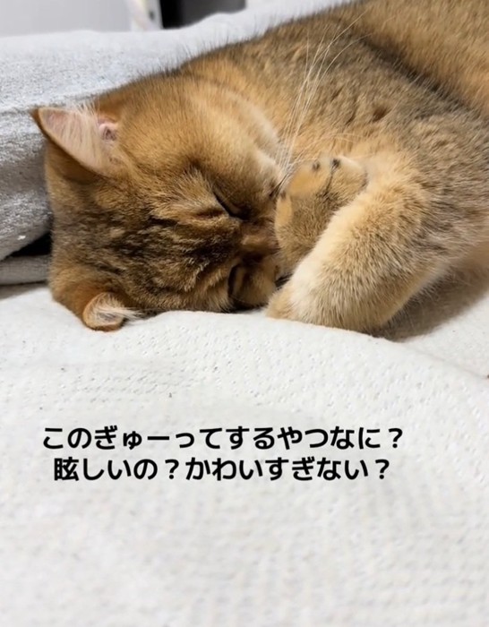 熟睡するがんもどきくん