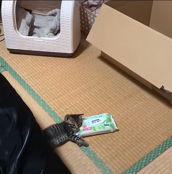 畳の上でゴロゴロ