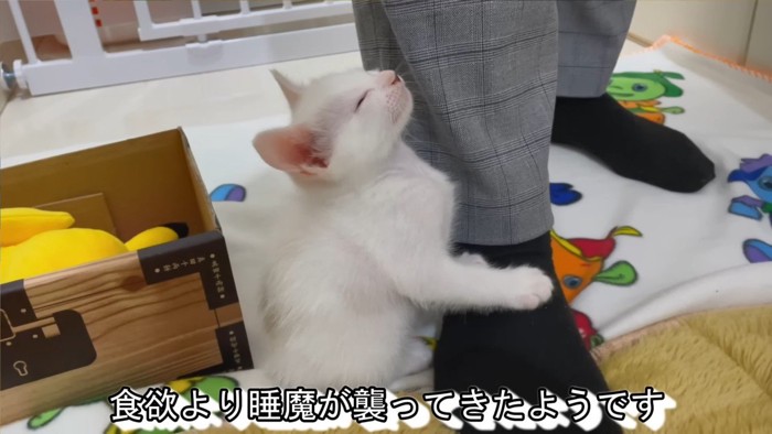 食欲より睡魔が