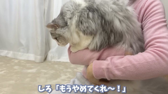 脱出するしろちゃん