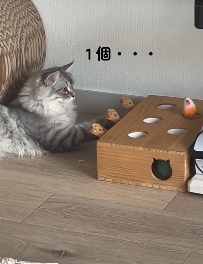 「1個・・・」と書かれた写真