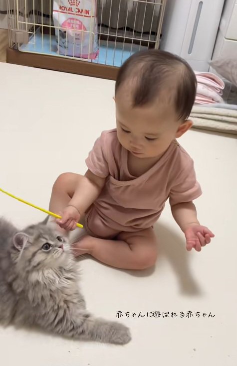 座っている赤ちゃんと子猫