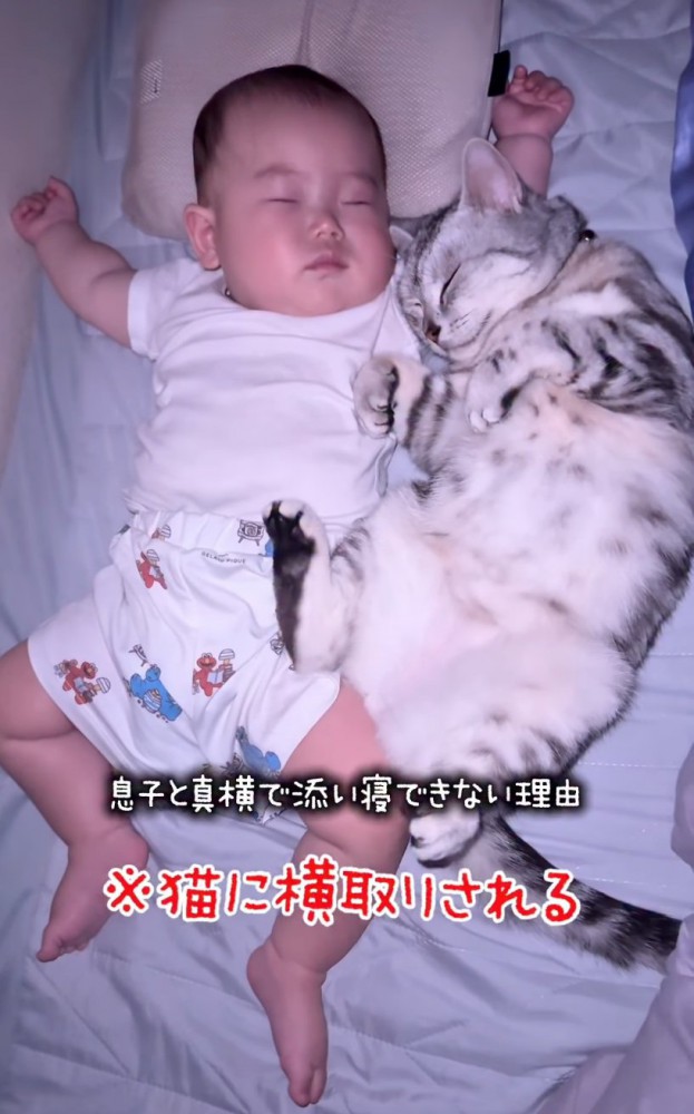 赤ちゃんと添い寝する猫
