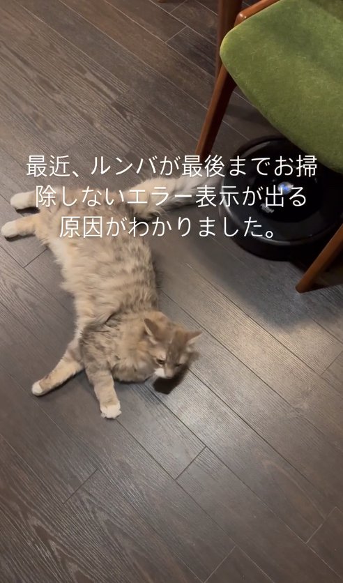 椅子の下にあるルンバと横たわる猫