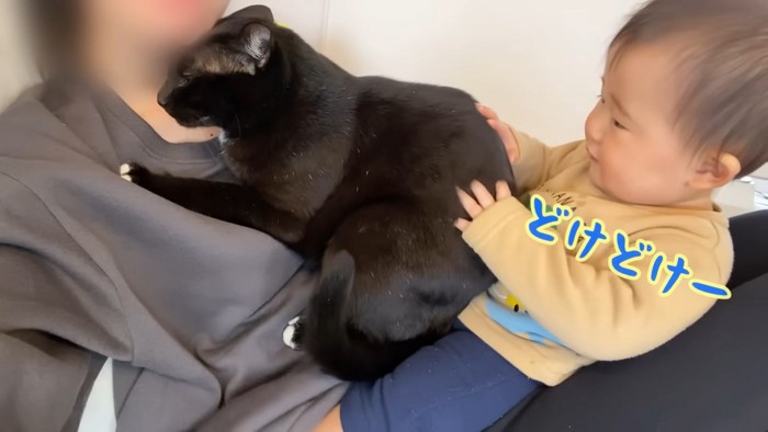 「どけどけー」