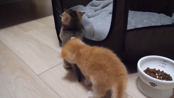 ふたりの後ろ姿