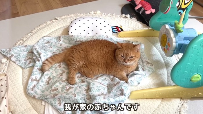 我が家の赤ちゃんです